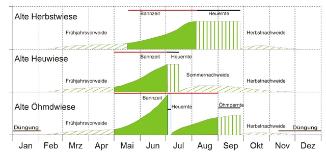 Fichier:Bewirtschaftungsschemata Kapfer zg 96 dpi.jpg