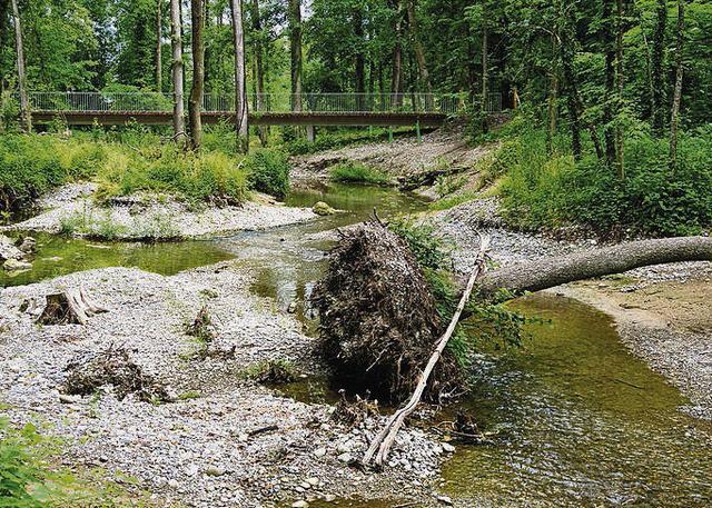 Fichier:AquaViva Bild11 Murgaue 640x480.jpg