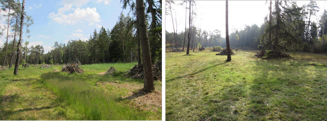 Fichier:galerie19 mahd pp 96 dpi.png