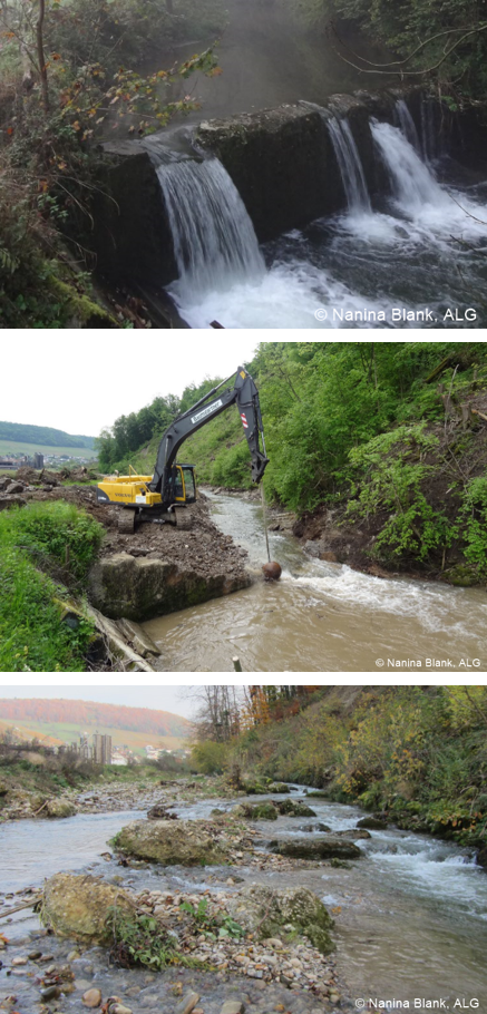 Galerie Surb hoch N Blank.png