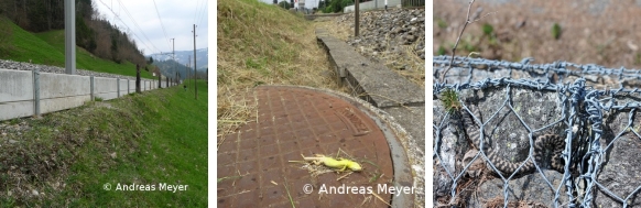 Fichier:Galerie 8.jpg