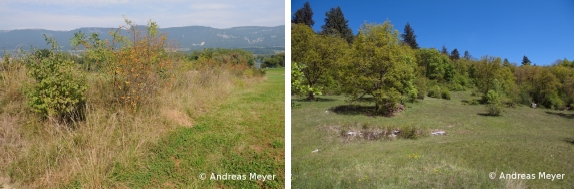 Fichier:Galerie 2.jpg