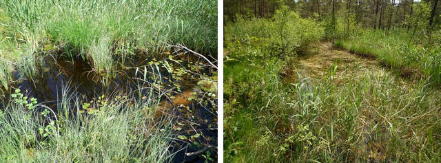 Fichier:galerie18 torfstiche pp 96 dpi.png