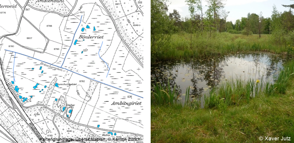 Fichier:Galerie Rotmodell 2.png