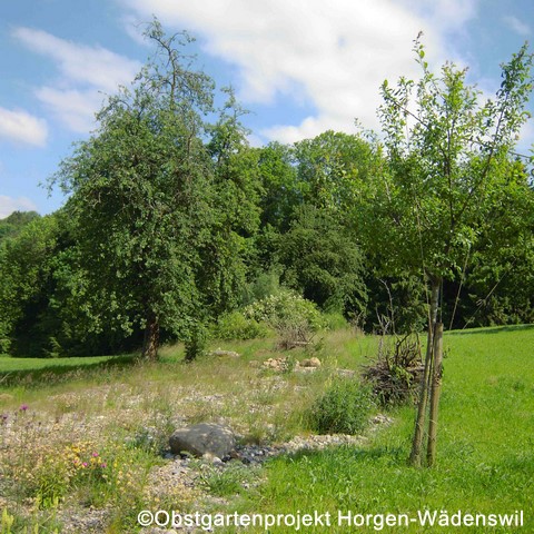 Üsseri Rietwies 96 dpi.jpg