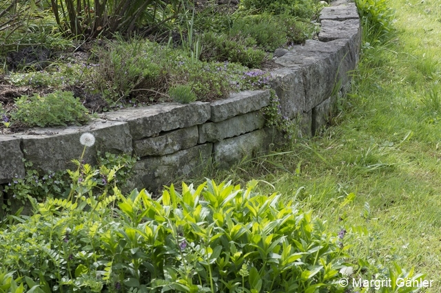 Fichier:ZA 4483 96 dpi.jpg