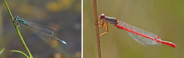 galerie8 mobilitaet hw 96 dpi.png