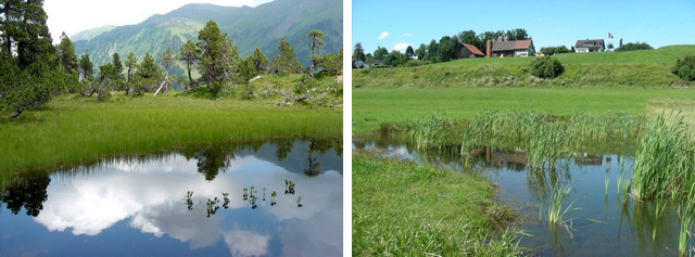 galerie12 gewaessertypen hw 96 dpi.png