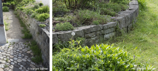 Garten Grasstreifen MGaehler.png