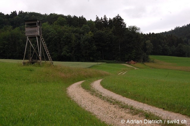 Fichier:Strukturen AdrianDietrich 96 dpi.jpg