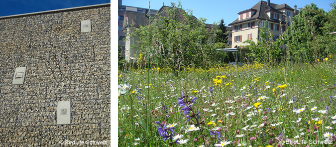 Fichier:siedlung birdlife.png