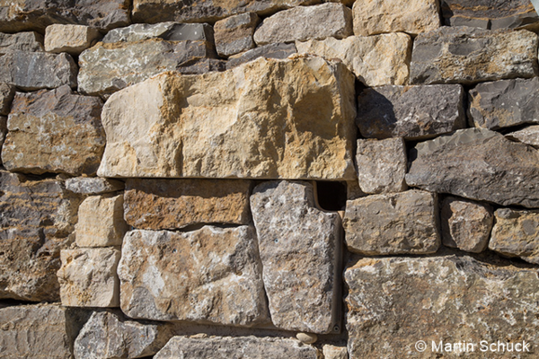 nisthilfe mschuck 96 dpi.png