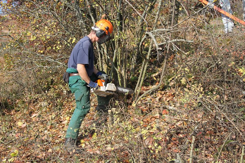 Fichier:MS n entbuschen 03 sw1-35.jpg