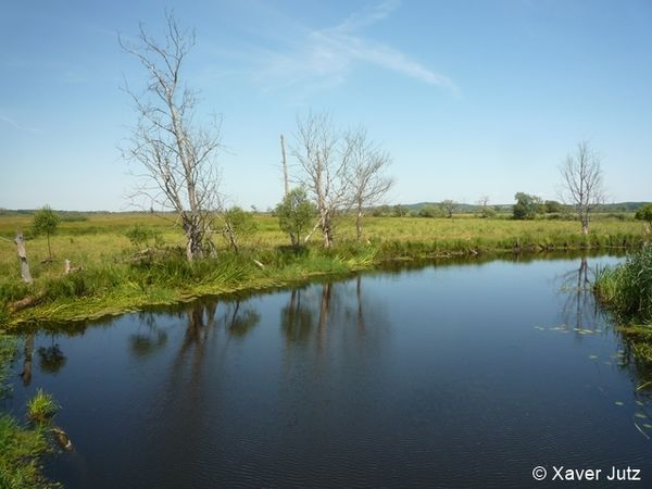 peenetal xjutz 96 dpi.JPG