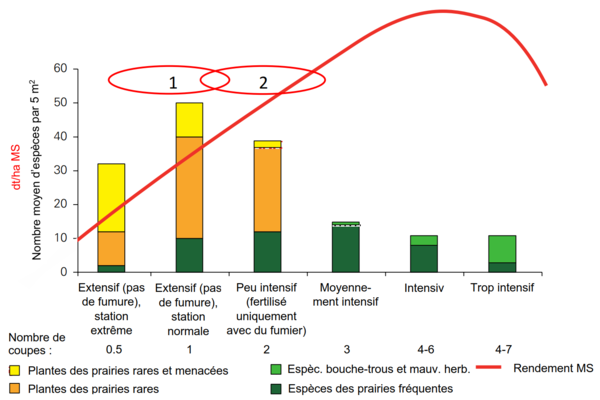 artenhaeufigkeiten wiesen fr.png