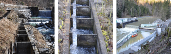 Baier Fischtreppen 878x280.png