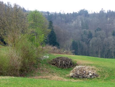 SVS P1100415B Kleinstrukturen.jpg