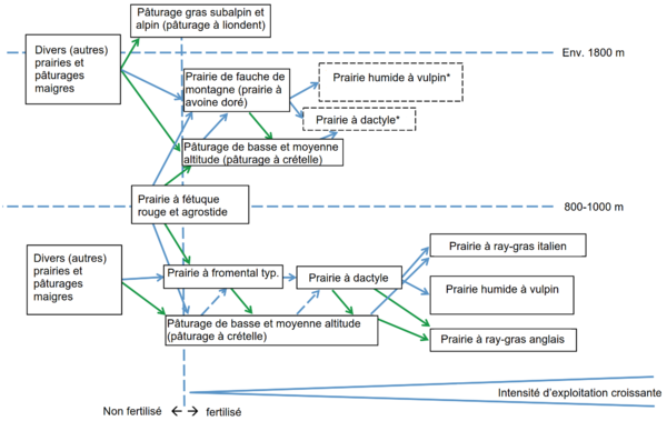 bosshard genese fr.png