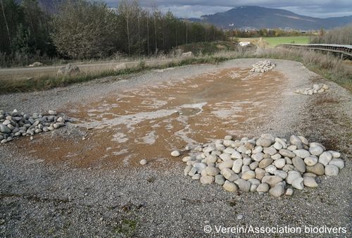 DSC03346 zg 96 dpi.JPG