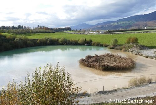 P1100614 zg 96 dpi.JPG