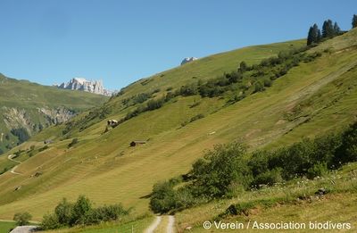alpine Wiesen und Weiden 96 dpi.JPG