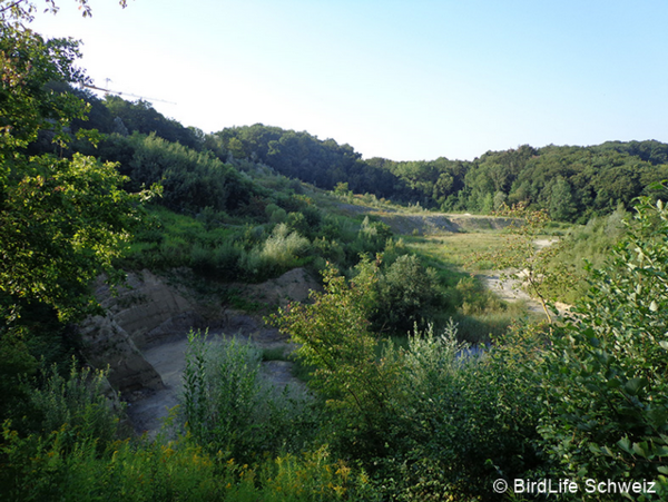 abbaugebiet birdlifeschweiz 96 dpi.png