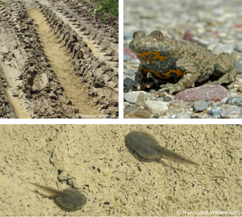 abbaugebiete galerie 6.png