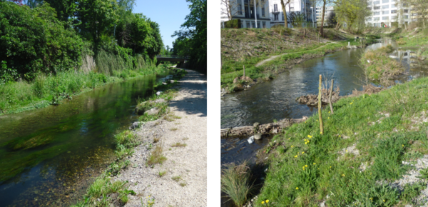 Chriesbach aquaviva.png