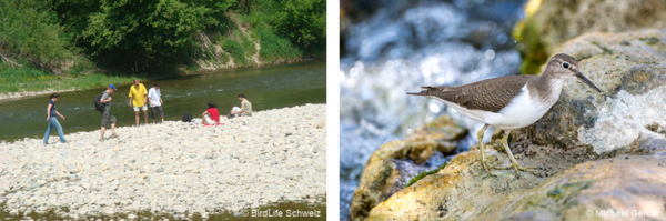 erholung stoerung birdlife mgerber.png