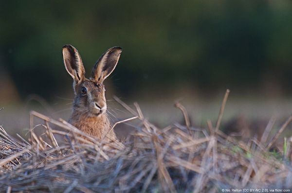 3476956400 698aab8805 o.jpg