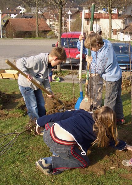 Fichier:DZ Hecken pflanzen 059 b.jpg