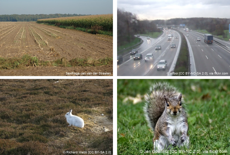 Gefaehrdungen Galerie.png