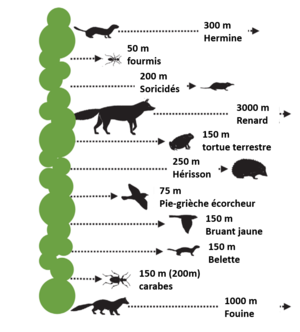 Bayrische LfL Aktionsradius 14 001 FR.png