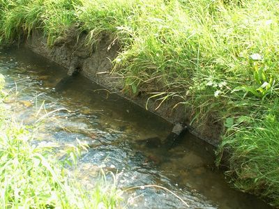 ThomasStucki3 96 dpi.JPG