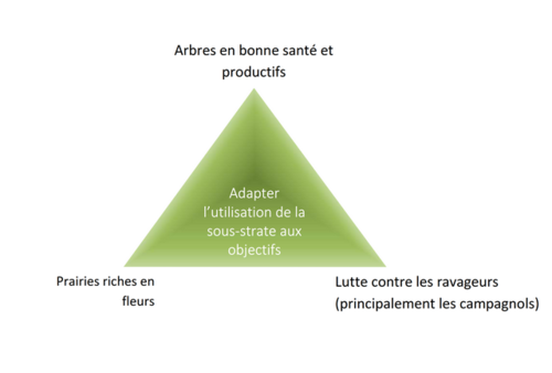 Ziele Unternutzen fr zg 96 dpi.png