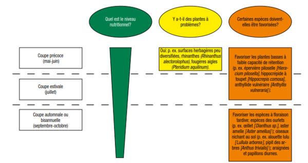 determination date de coupe fr.png