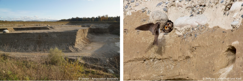 abbaugebiete galerie 3.png