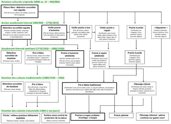 kapfer genese fr.png