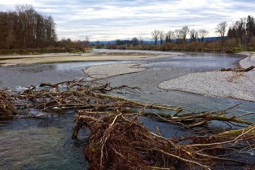 SBartholdi Thur 640x480.jpg