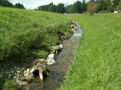 ThomasStucki2 96 dpi.JPG