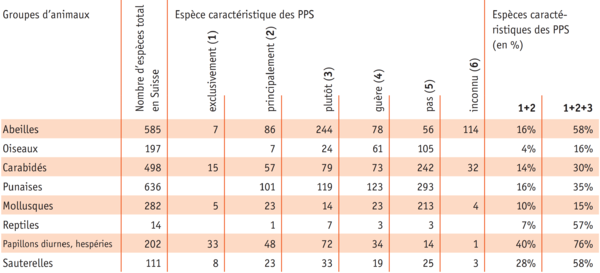 TWW Kennarten fr zs.png