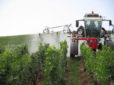 KFKS06 Insektizide 96 dpi.jpg